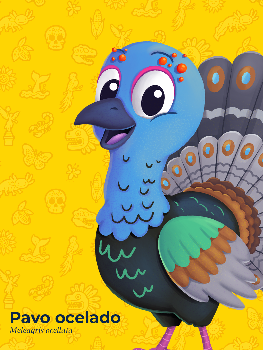 Ocellated Turkey Character Illustration — Mexico in 32 Creatures animal illustration bird illustration campaign design character design cute character mascot design mexican illustration mexico visual identity yucatan