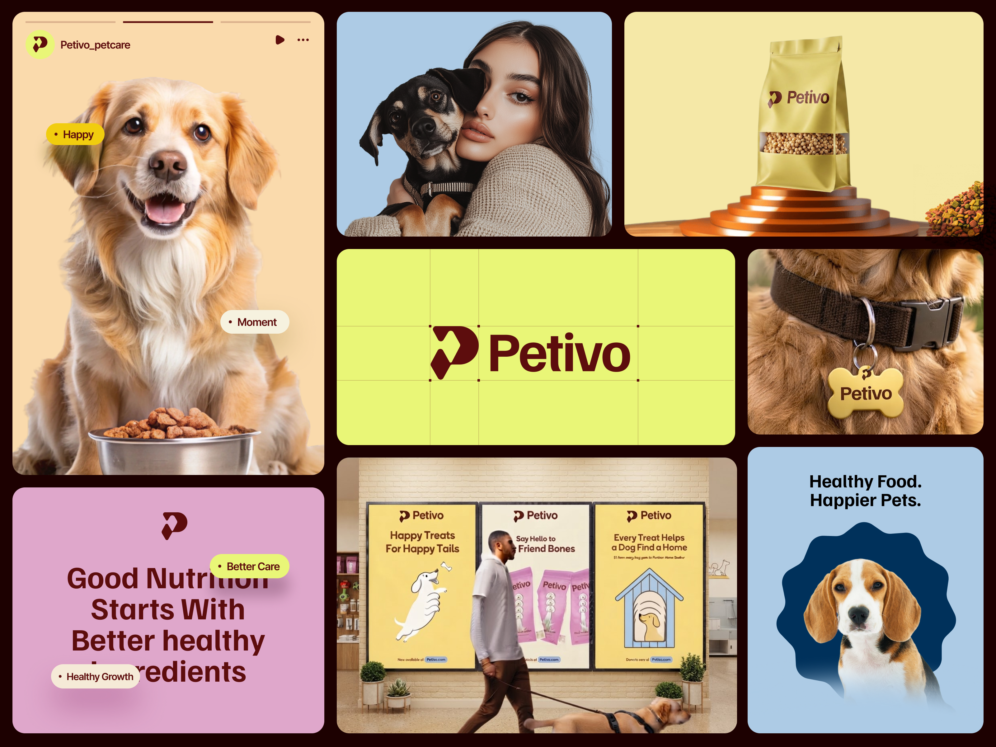 Petivo - Petcare Food Brand Identity brand identity brandbook dog happy tails health happiness healthy paws logo design modern brand design 2026 online pet shopping pawlife pet nutrition petcare petfood petfood branding design petgoodness petivo petshop visual identity