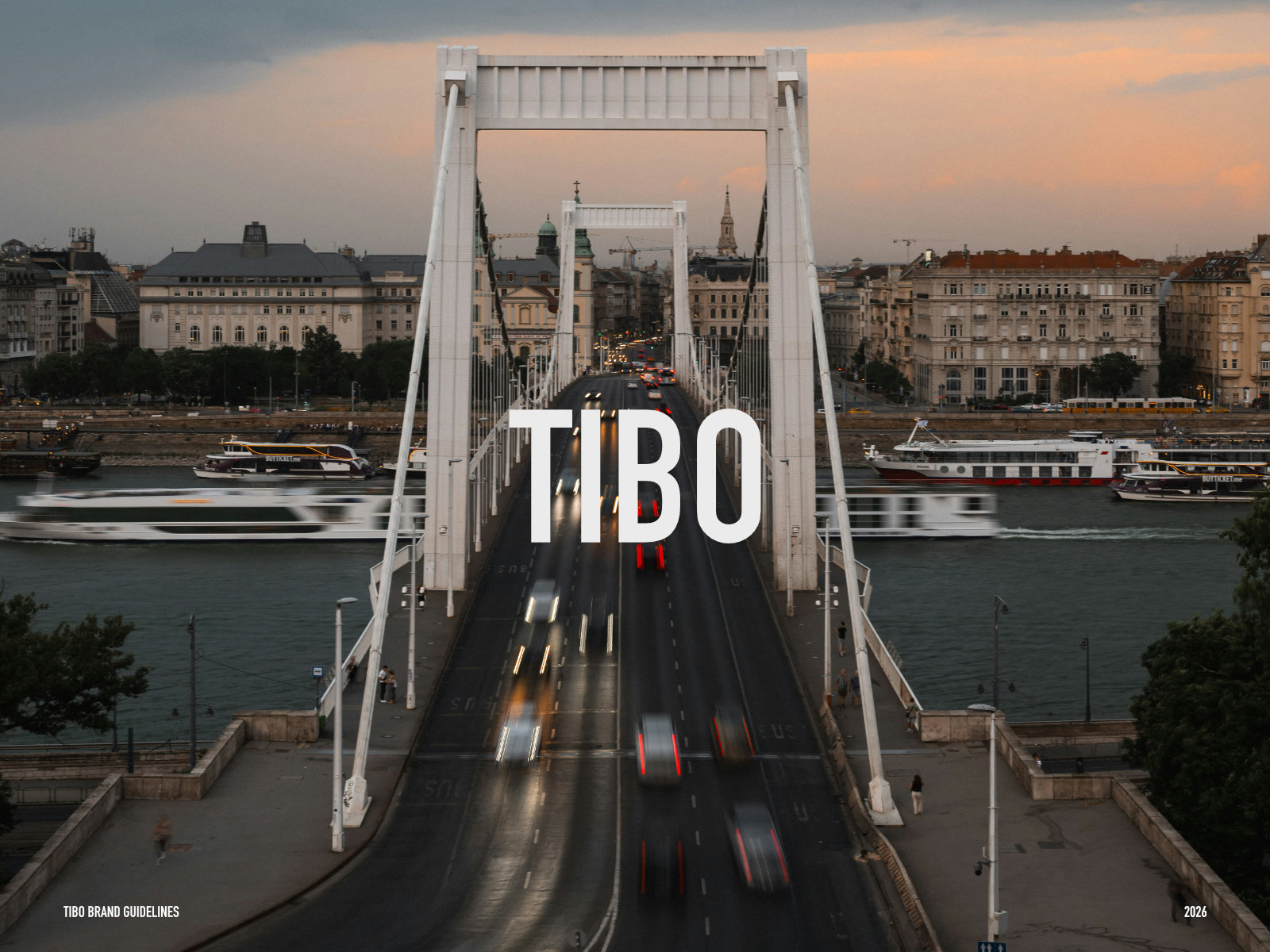 TIBO Coffee branding coffee coffee shop graphic design logo ui