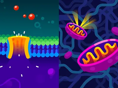 Kurzgesagt - Giant virus 2 2d after effects gene illustration kurzgesagt motion design motion graphics science virus
