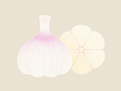 Garlic - 蒜头 😊 cook food garlic green kitchen photoshop vegetable