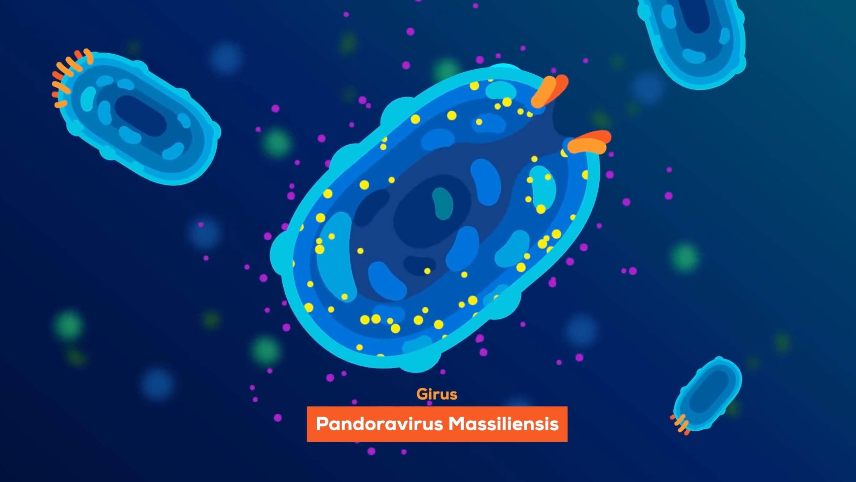 Kurzgesagt - Giant virus 3 2d after effects illustration kurzgesagt motion design motion graphics particles science virus