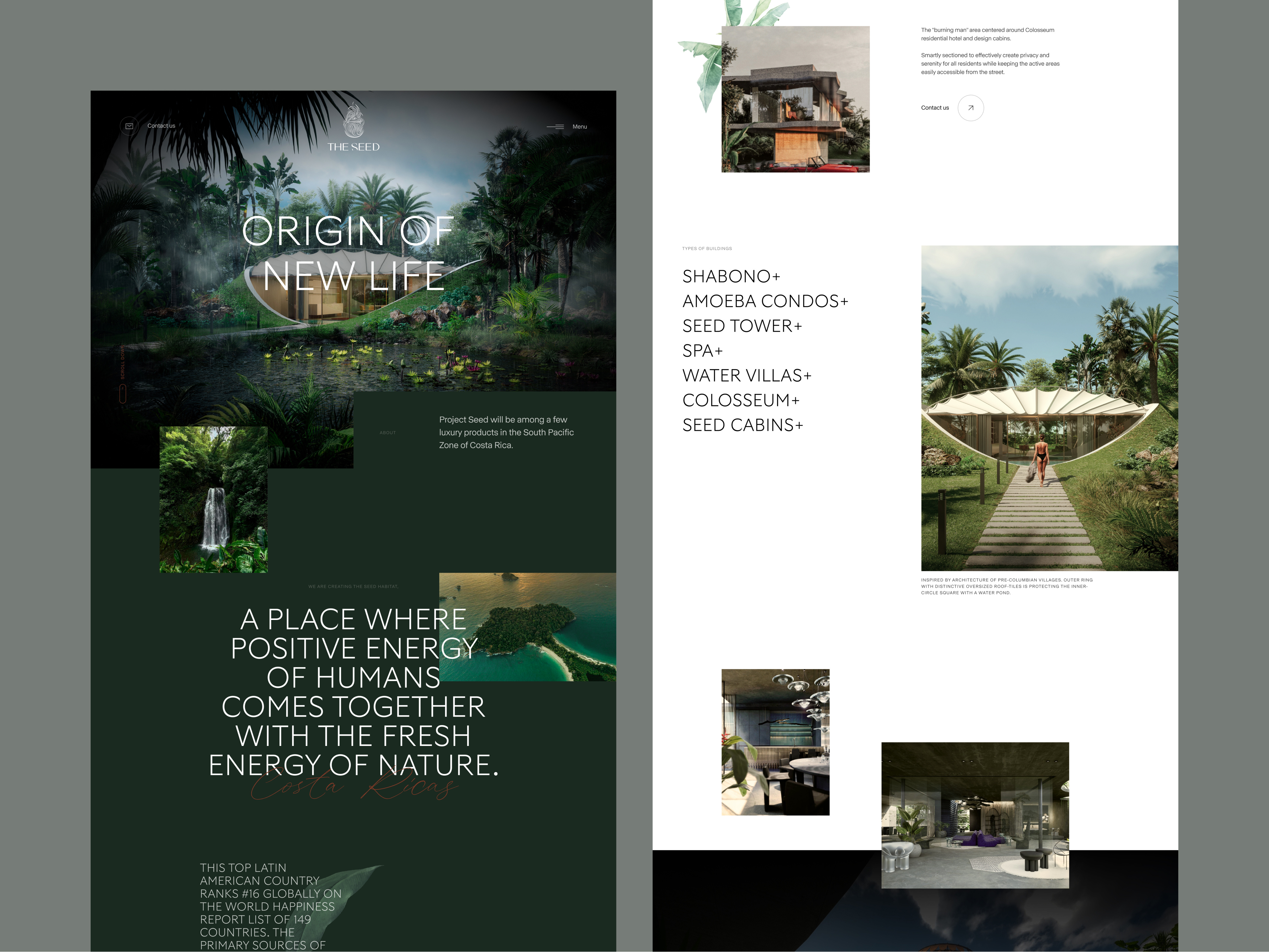 The Seed clean darkgreen design green realestate ui ux webdesign