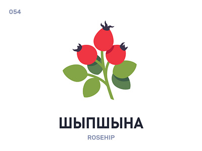 Шыпшы́на / Rosehip belarus belarusian language daily flat icon illustration vector