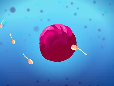 Kurzgesagt - Life 2d after effects conception fertilisation process illustration life motion design motion graphics science