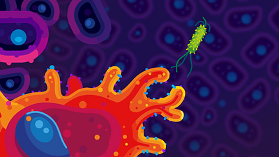 Kurzgesagt - Snack 2d after effects cell illustration immune system kurzgesagt macrophage meal motion design motion graphics science