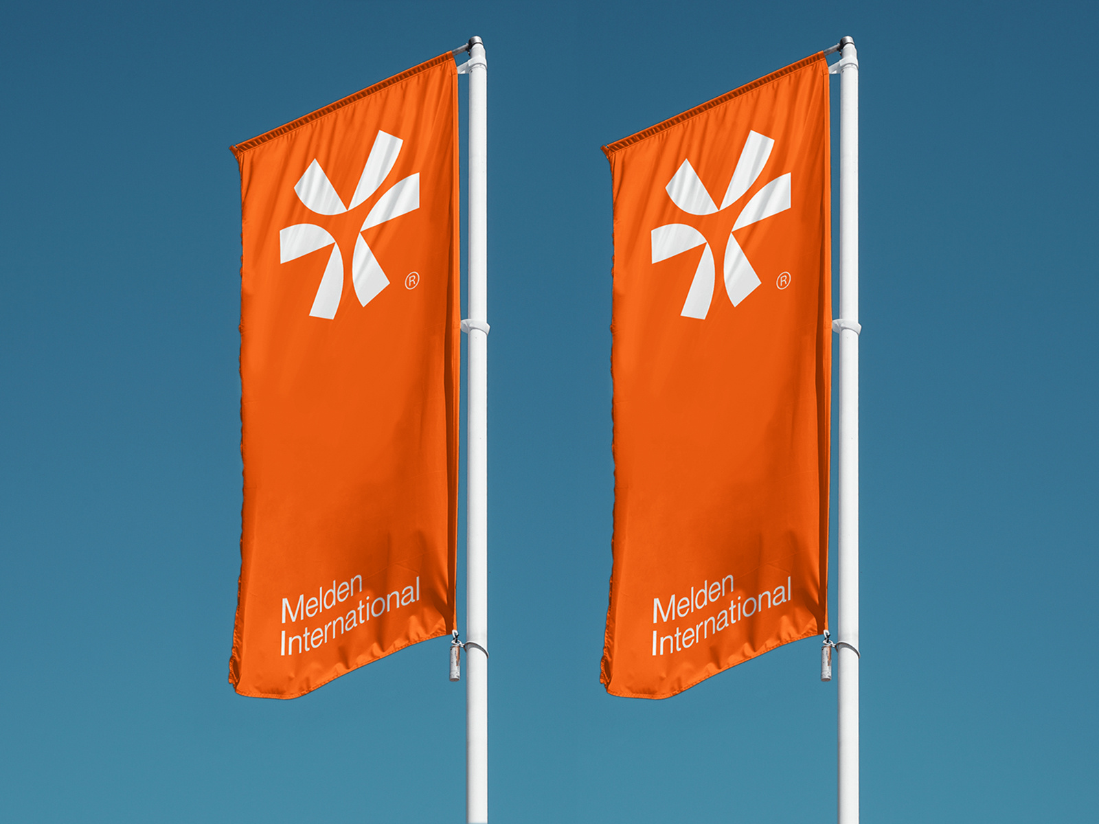 9110+ Free Flag Psd Mockup