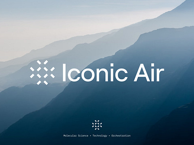 Iconic Air Brand Identity brand carbon data earth emissions energy environment impact innovative logo minimal molecule nature performance simple sustainability target tech visual identity website