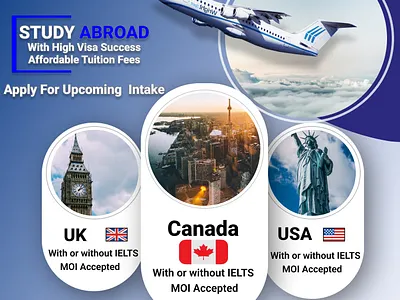 Study Abroad Statics Design app branding design graphic design illustration logo typography ui ux vector