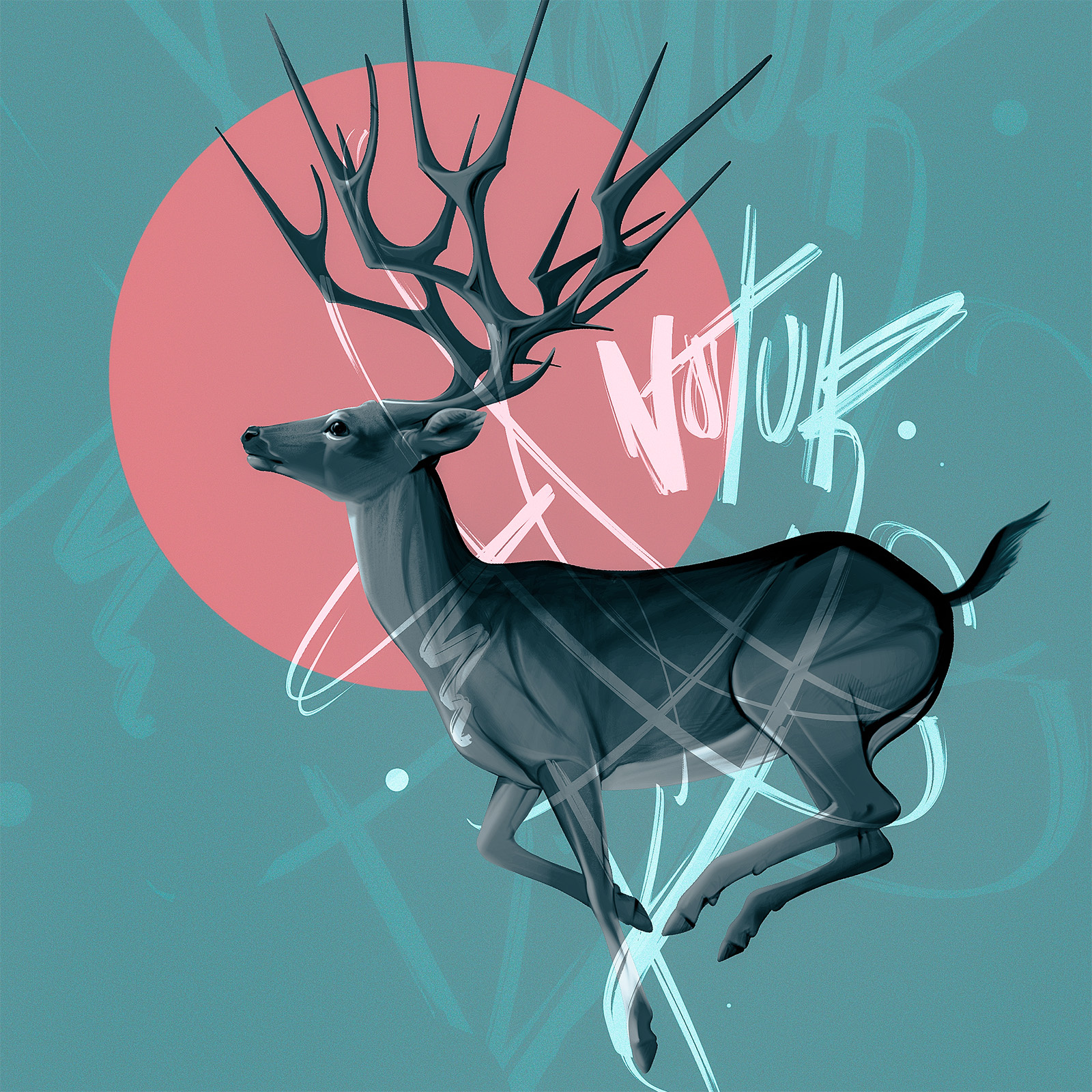 Wildlife animal illustration art direction concept art deer digital illustration graphic design hand drawn illustration nature procreate raster art visual design wildlife
