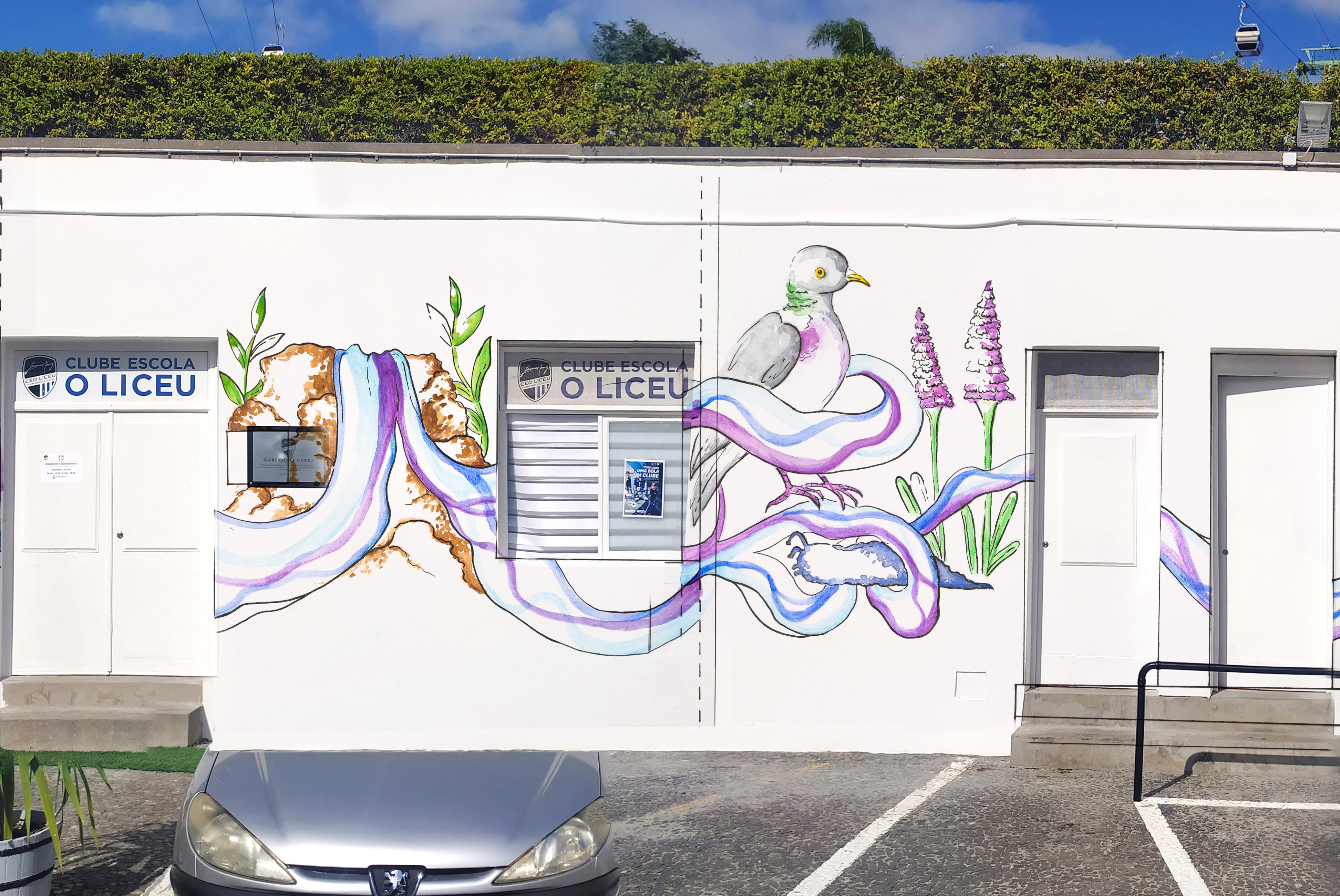 Laura Silva da Madeira — Mural Project artproject graffiti illustration laurissilva madeira madeiraisland mural muralart natureart streetart studentproject watercolour