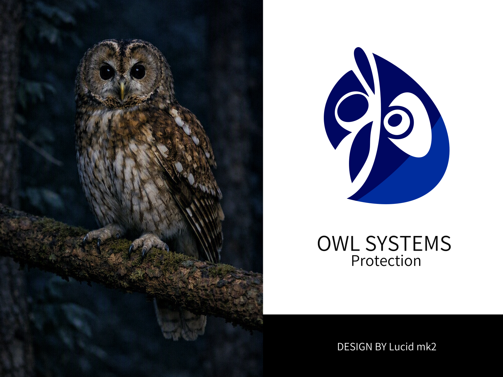 OWL SYSTEMS — Protection Logo abstract mark abstract owl anatomy inspired brand identity density design geometric logo judgment minimal design monitoring node structure owl logo protection protection concept security logo skeletal structure structural logo surveillance design symmetry design system identity tech branding