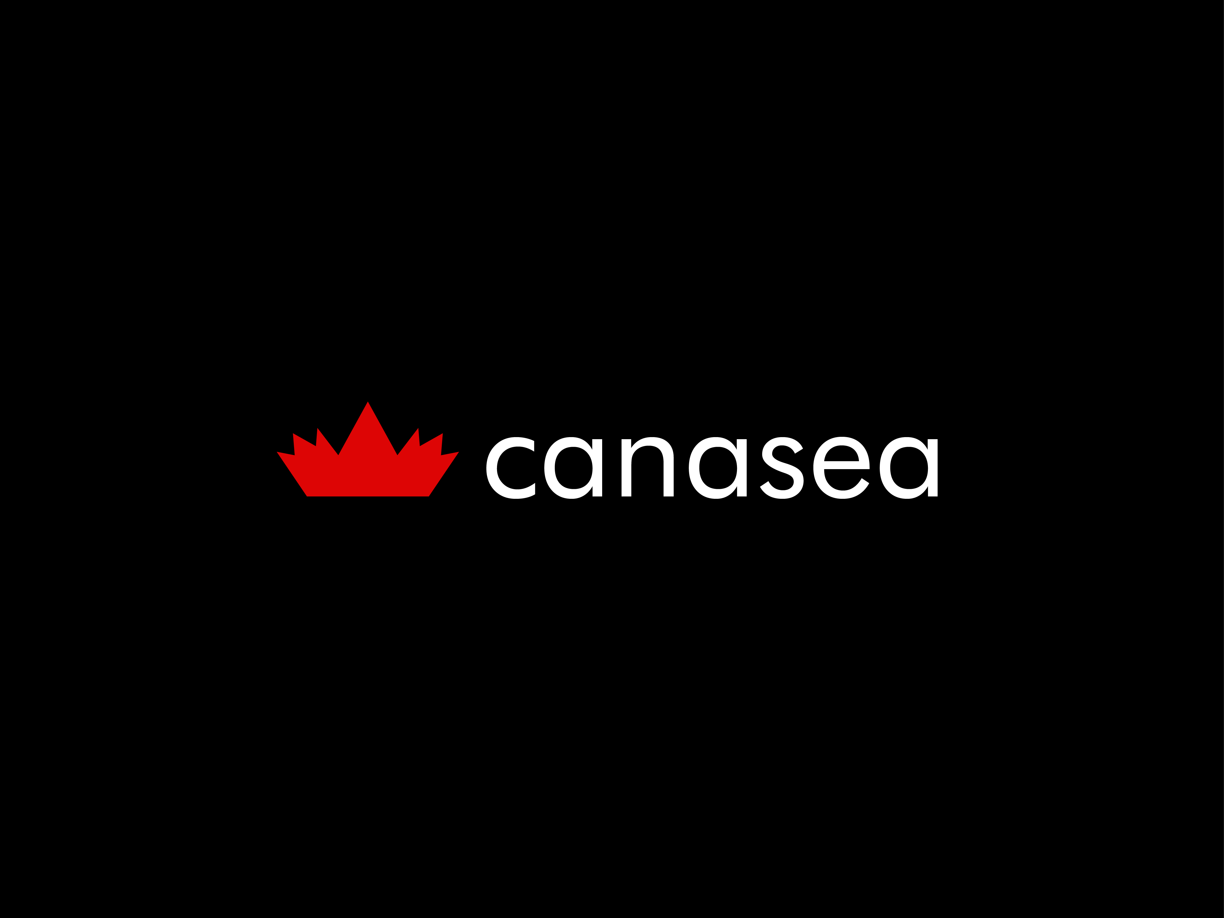 canasea boat brand identity branding canada canadian logo logo design ocean sea ship wave