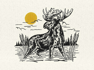 Mangy Moose alaska animal antlers branding design distressed illustration mangy moose meadow moose vintage wild wyoming