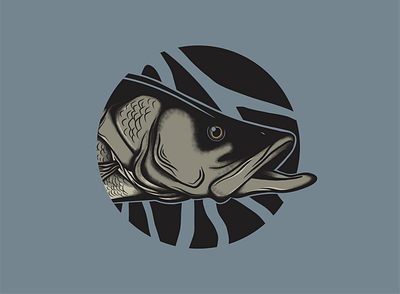 Snook illustration