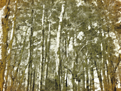 Trees in the woods forest illustration trees wilderness woods