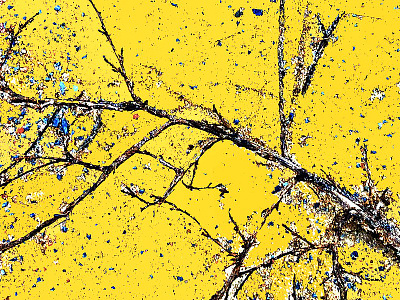 branch on the ground branch digital art illustration photomanipulation tree