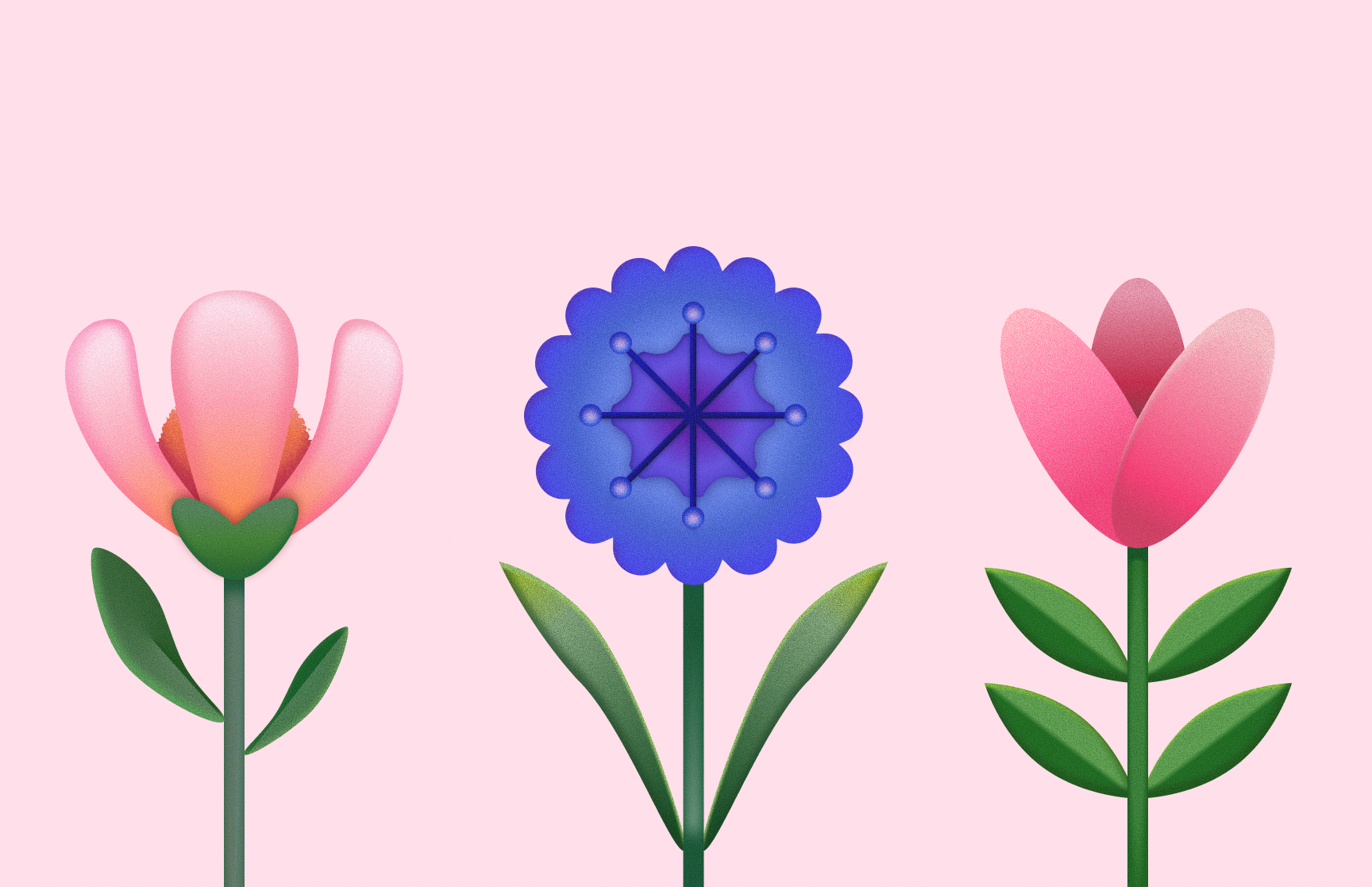 3 Flowers botanical cute editorial flat illustrations flowers graphic design illustration love nature pink vector illustration
