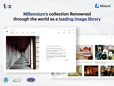 Milennium Website color combination design illustration ui ui design website