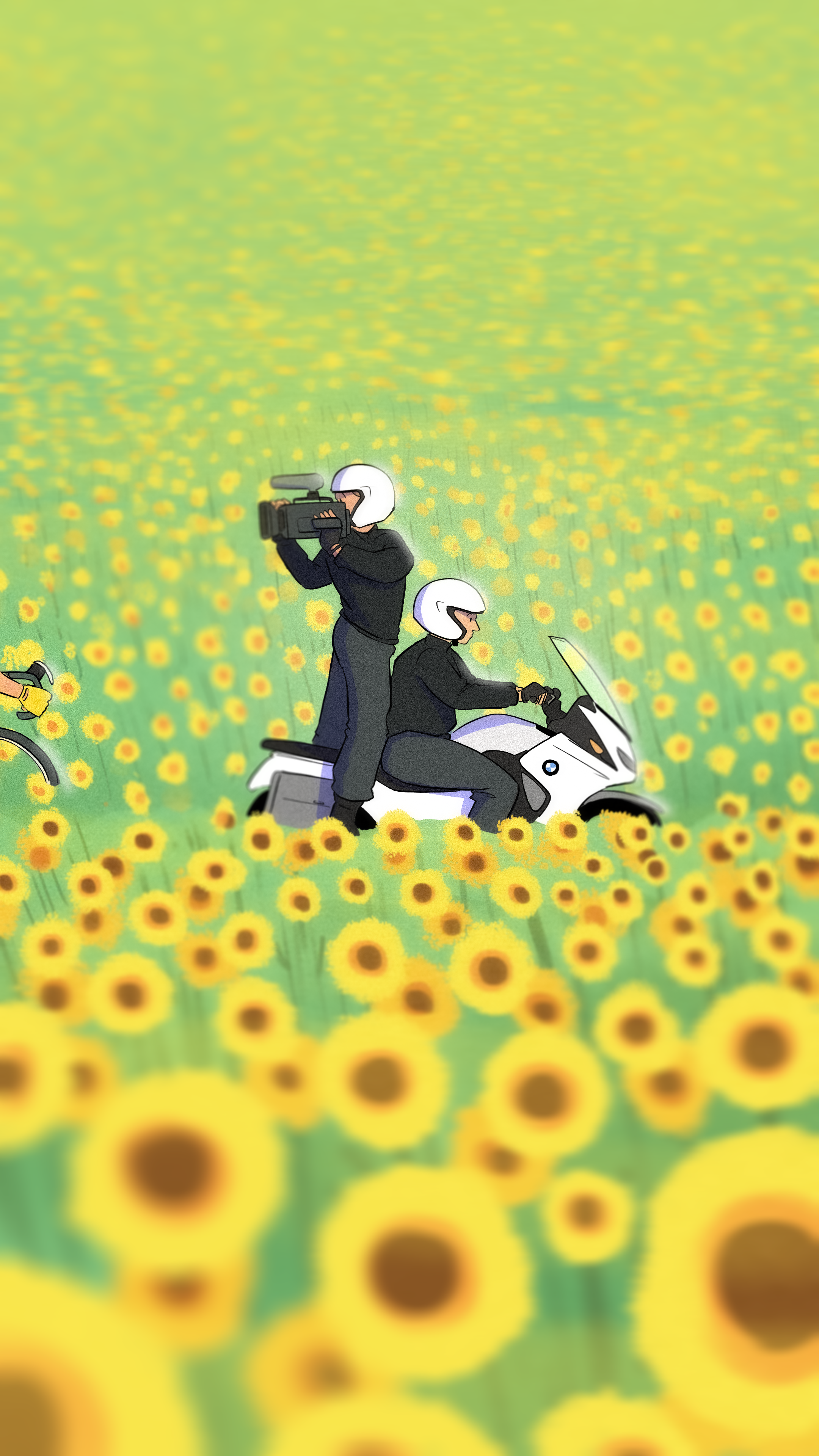 Tour de France colour cycling design drawing france illustration style summer sunflower