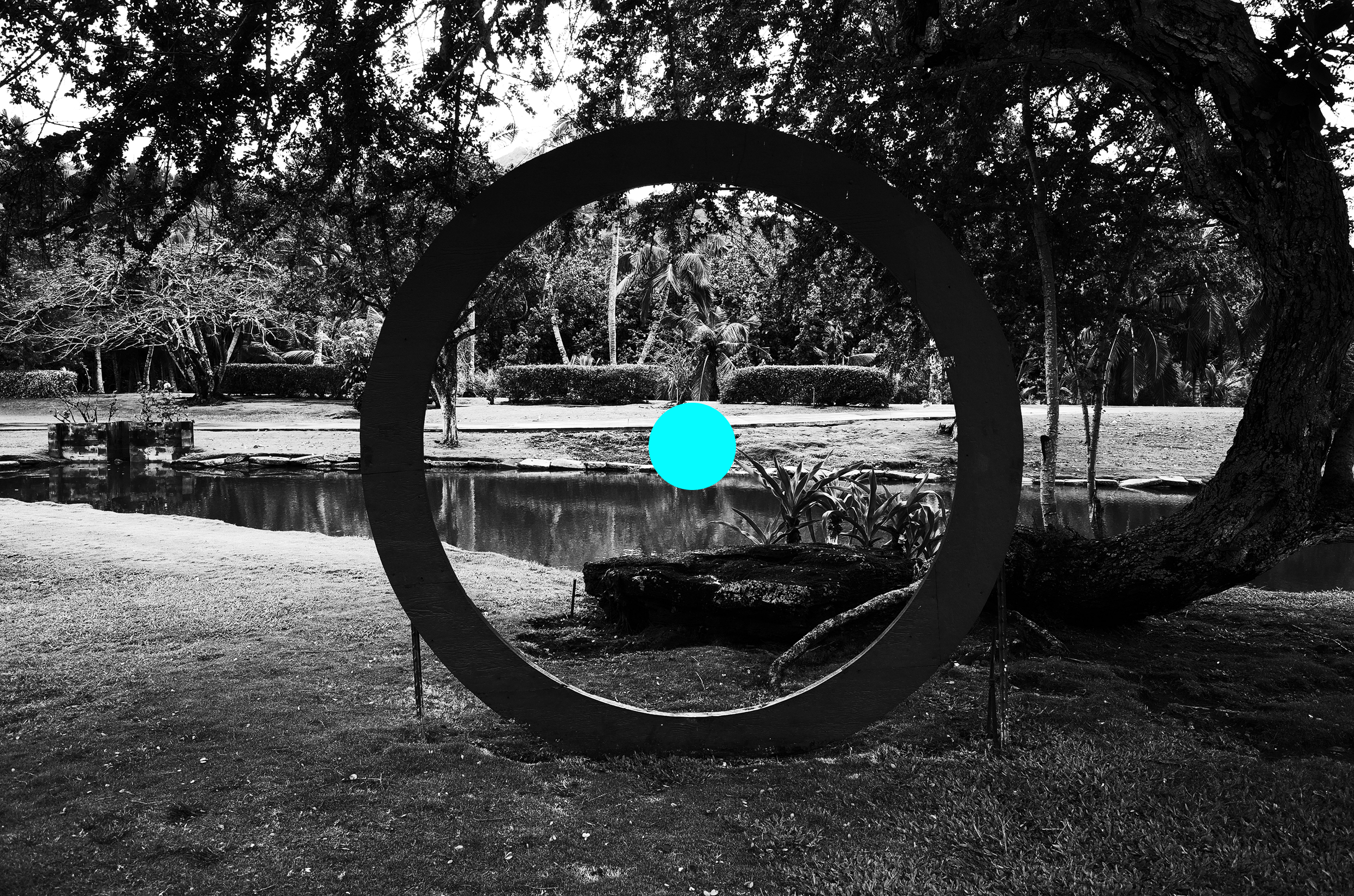 Who Owns the Loop?