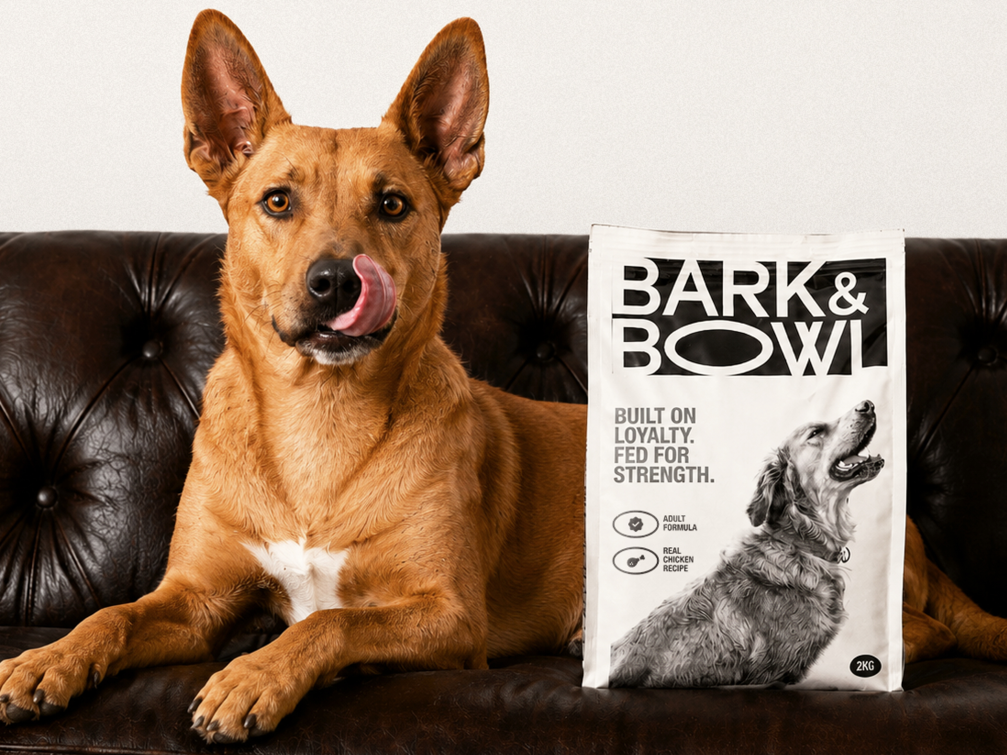 Bark & BowI - Brand Identity for a Pet Food Brand brand brand design brand identity brand identity design brand strategy branding custom logo dog dog food brand dog treat brand dog treats food branding logo design nutrition brand packaging pet brand pet branding pet food pet food branding pet food pacakaging