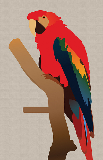 Parrot on branch illustration design graphic design illustration nature parrot vector vector art