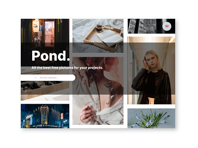 Pond branding design graphic design logo ui webdesigner