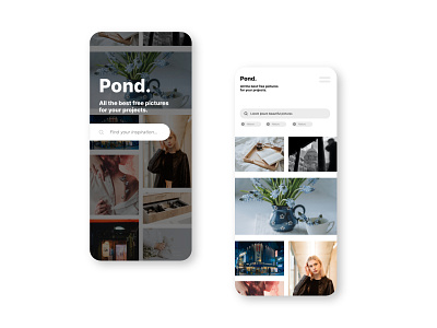 Pond. application design branding design graphic design ui webdesign