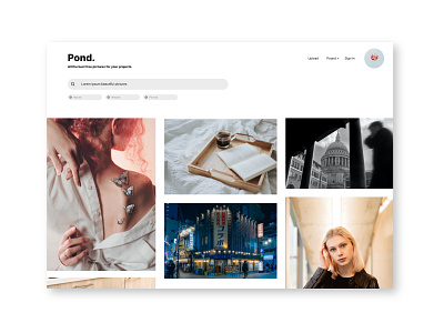 Pond branding design graphic design ui webdesign