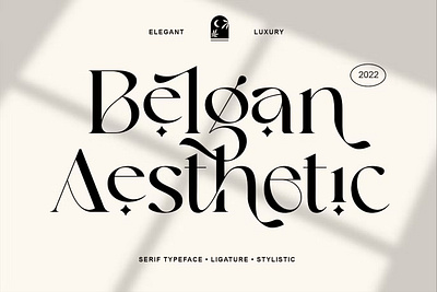Belgan Aesthetic Font branding display display font display typeface font fonts illustration logo sans serif serif typography