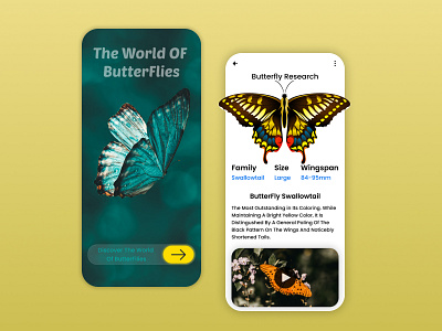 Butterflies App