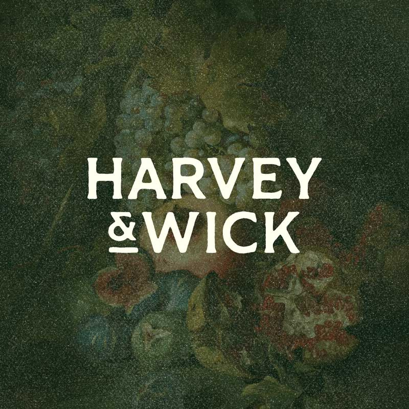 Harvey & Wick branding branding design digital art digital illustration drawing graphic design illustration logo product branding vector