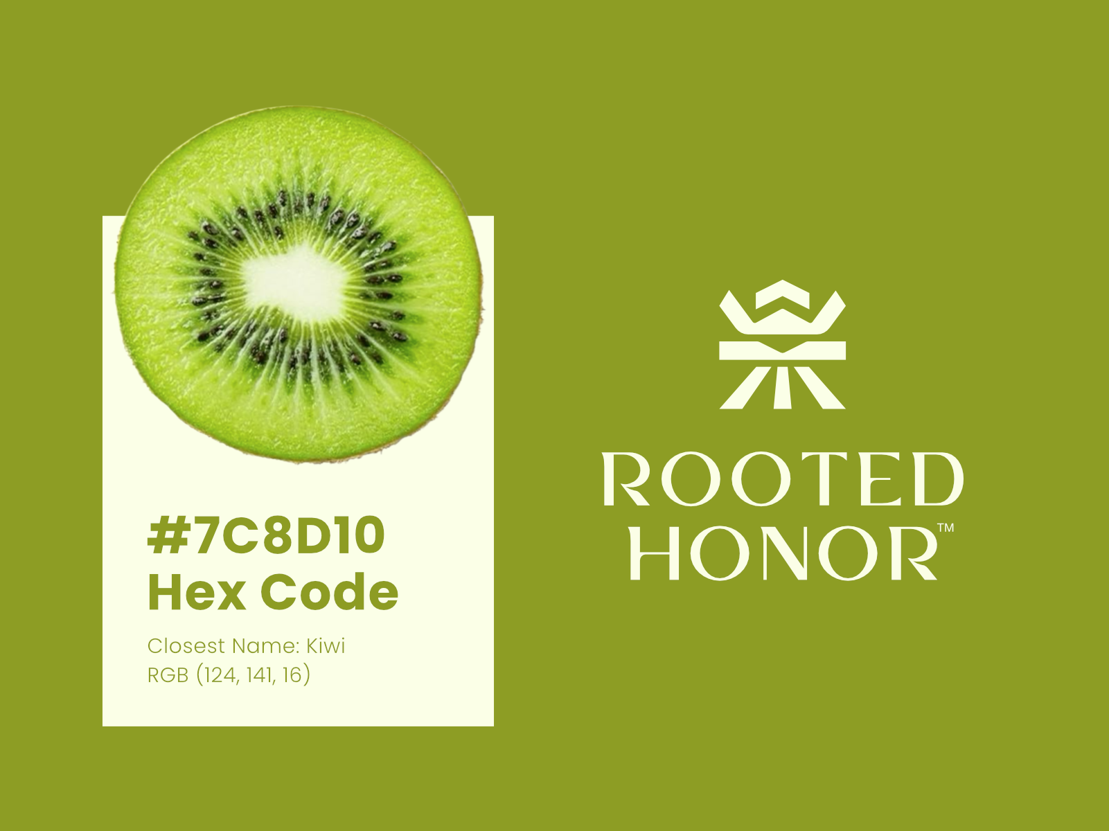 Rooted Honor — Health & Wellness Brand Identity agency brand brand design branding design graphic design health branding illustration inspiration logo logo design minimal minimal branding visual identity wellness