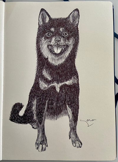 Ballpen Dog 🐩 ballpen blackandwhite design dog drawing illustration sketch