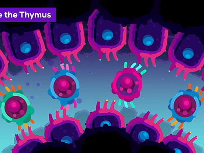 Kurzgesagt - Thymus after effects cell destruction illustration kurzgesagt motion design motion graphics particles rubberhose science selection