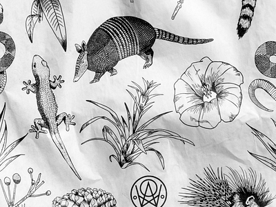 Illustration for Lola Mezcal animals art direction branding design detail graphic design identity illustration monochromatic nature photography photography set plants realistic set design vector