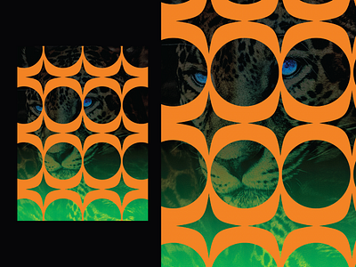 Poster 856 - “Untitled” art collage color design eyes graphic illustration illustrator leopard make something everyday pattern photoshop poster shapres visuals