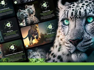 Company Values brand identity branding corporate design design graphic design market positioning value proposition