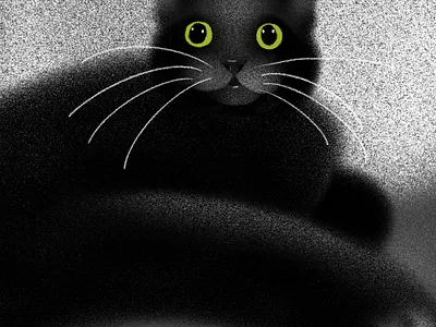 A Black Cat Named Preston black cat branding cat cat drawing chicago design drawing illustration pet pet portrait procreate sketch witchy