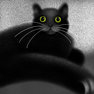 A Black Cat Named Preston black cat branding cat cat drawing chicago design drawing illustration pet pet portrait procreate sketch witchy