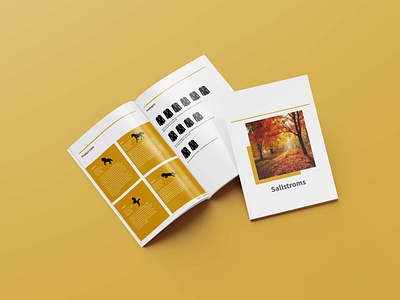Pricing Brochure branding brochure design catalog design company profile design flyer graphic design newsletter pricing brochure