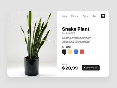 Plant store (single item) buy challenge dailyui design ecommerce item mockup plants plantstore ui uiux web website