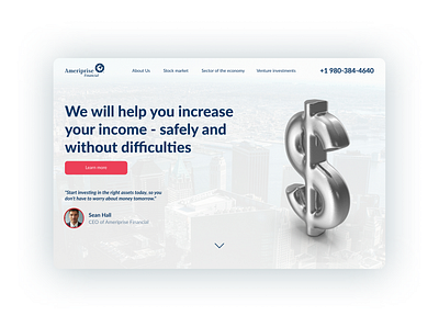 Ameriprise Financial website design concept