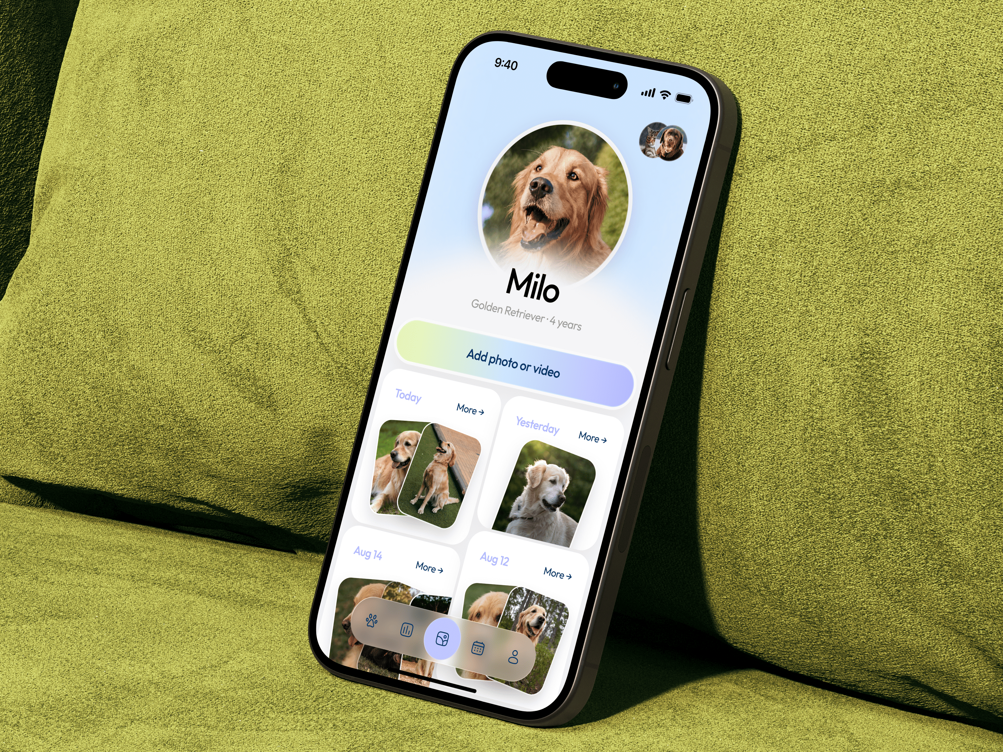 🐾 Product design for pet care mobile app | Hyperactive animal app app design appointment care design entertainment gallery hyperactive mobile mobile app mobile design pet photo product design social ui ux vaccine