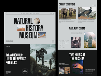 Natural History Museum Website Concept clean composition concept design dinosaur grid history homepage minimalism museum nature simple typography ui uiux ux web design