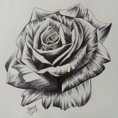Enchanted Rose black pen drawing illus illustration pen