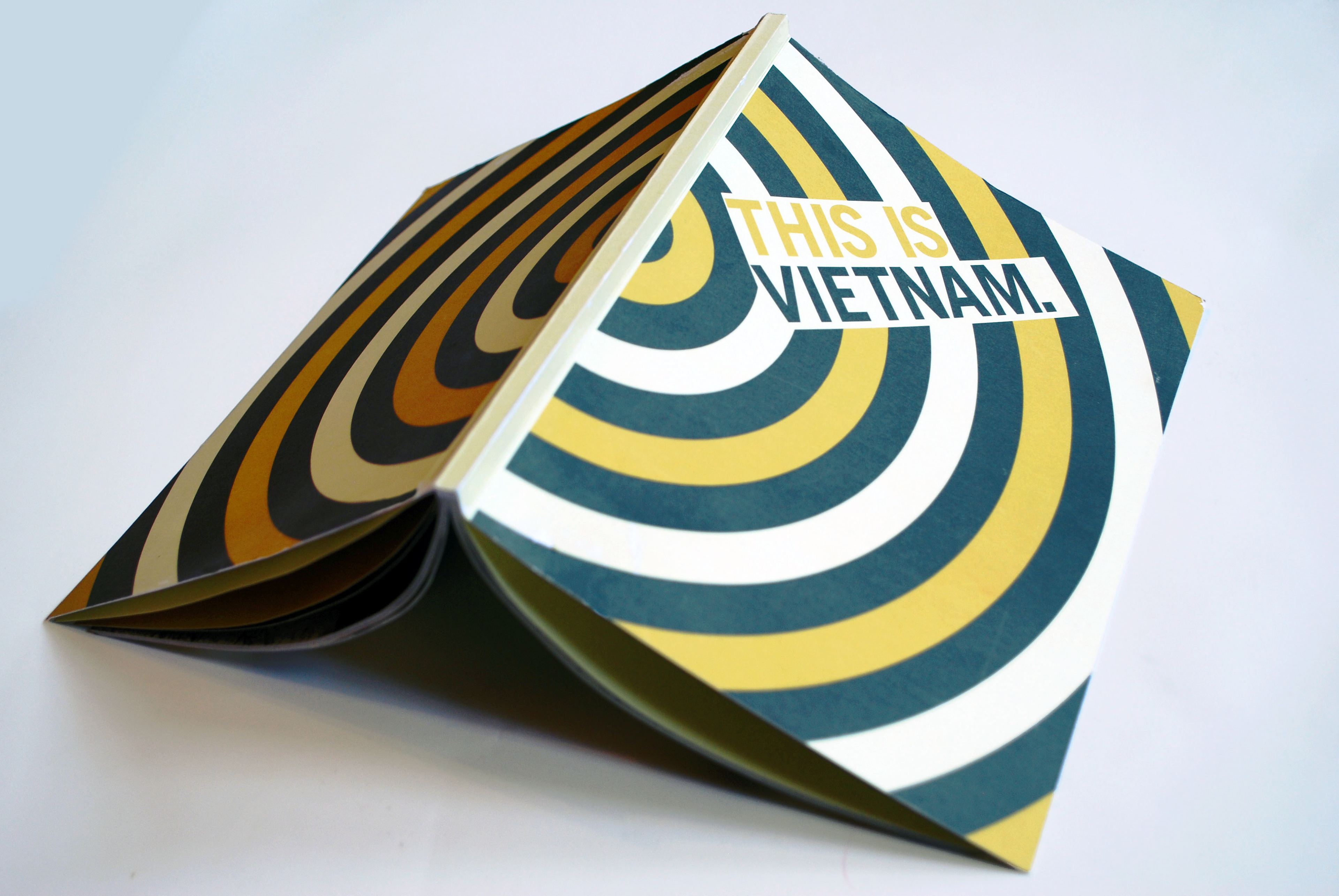 This is Vietnam book book design graphic design illustration interview typography veterans day vietnam war