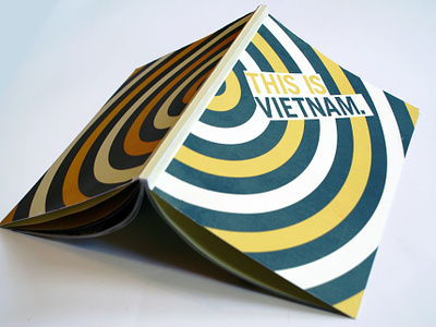 This is Vietnam book book design graphic design illustration interview typography veterans day vietnam war