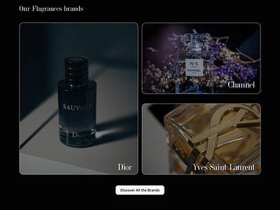 Dior Landing Page designs, themes, templates and downloadable